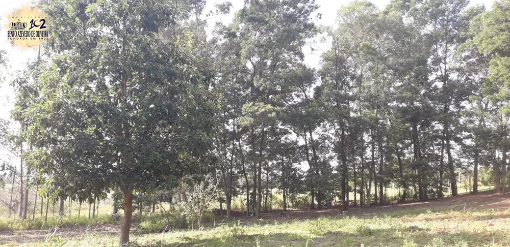 Casa, 4 quartos, 300 m² - Foto 5