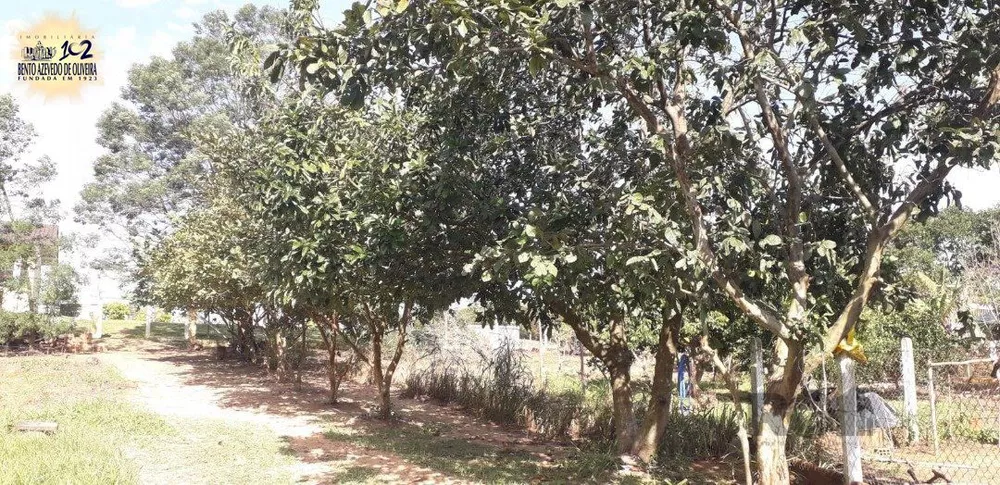 Casa, 4 quartos, 300 m² - Foto 6