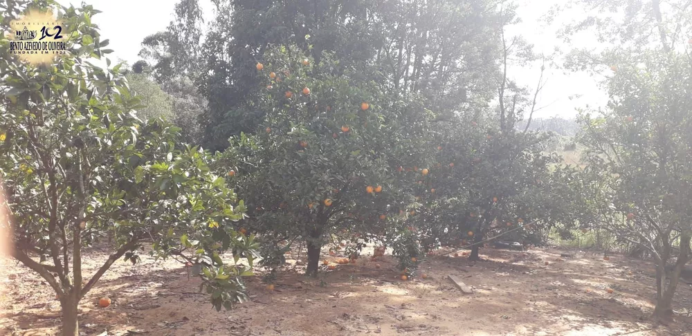 Casa, 4 quartos, 300 m² - Foto 8