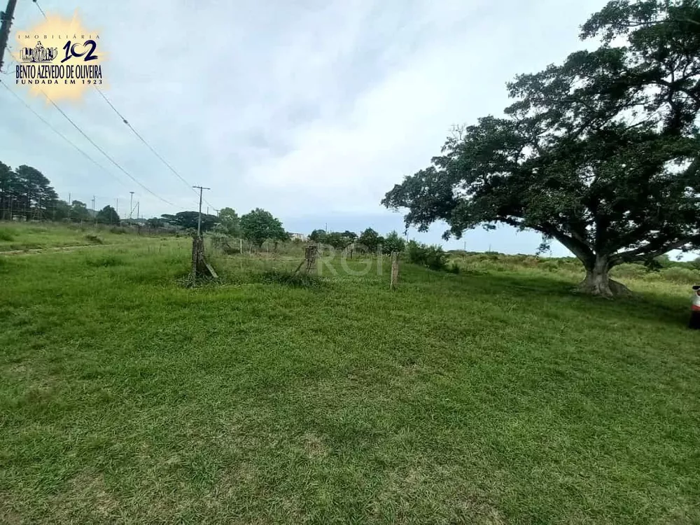 Terreno, 5 hectares - Foto 3