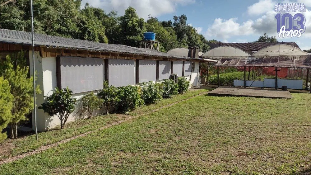 Terreno, 6629 m² - Foto 6