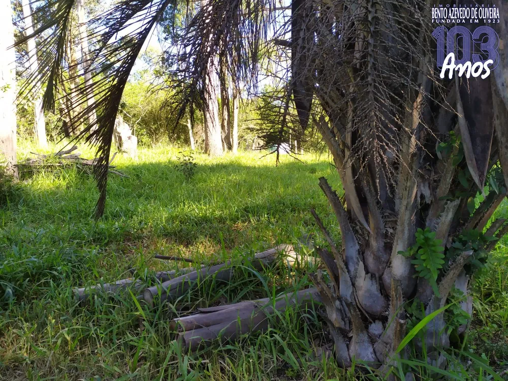 Terreno, 2500 m² - Foto 7