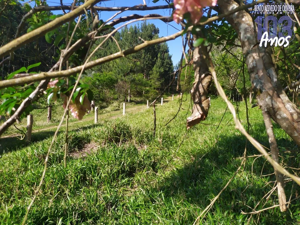 Terreno, 2500 m² - Foto 2