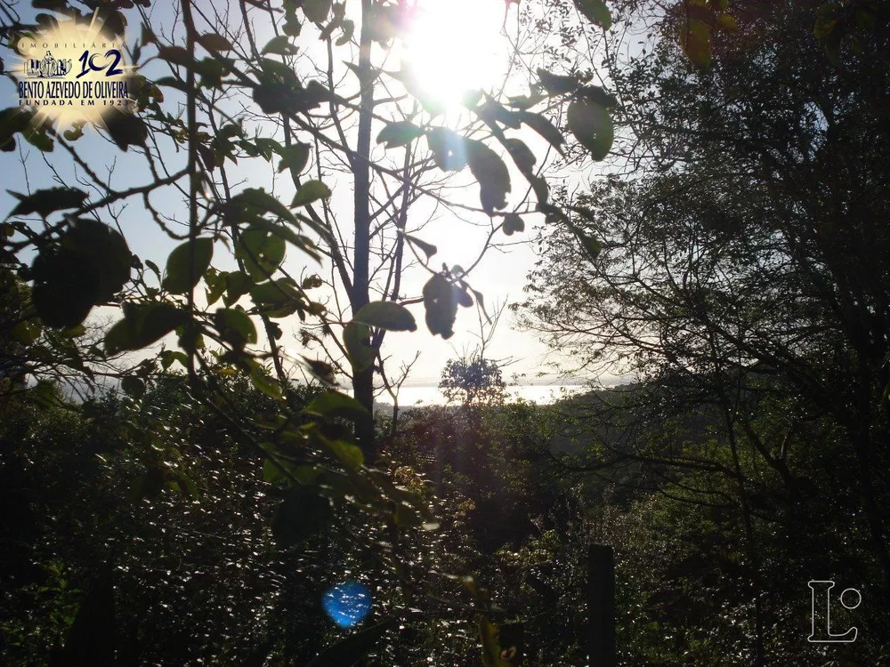 Terreno, 4500 m² - Foto 7