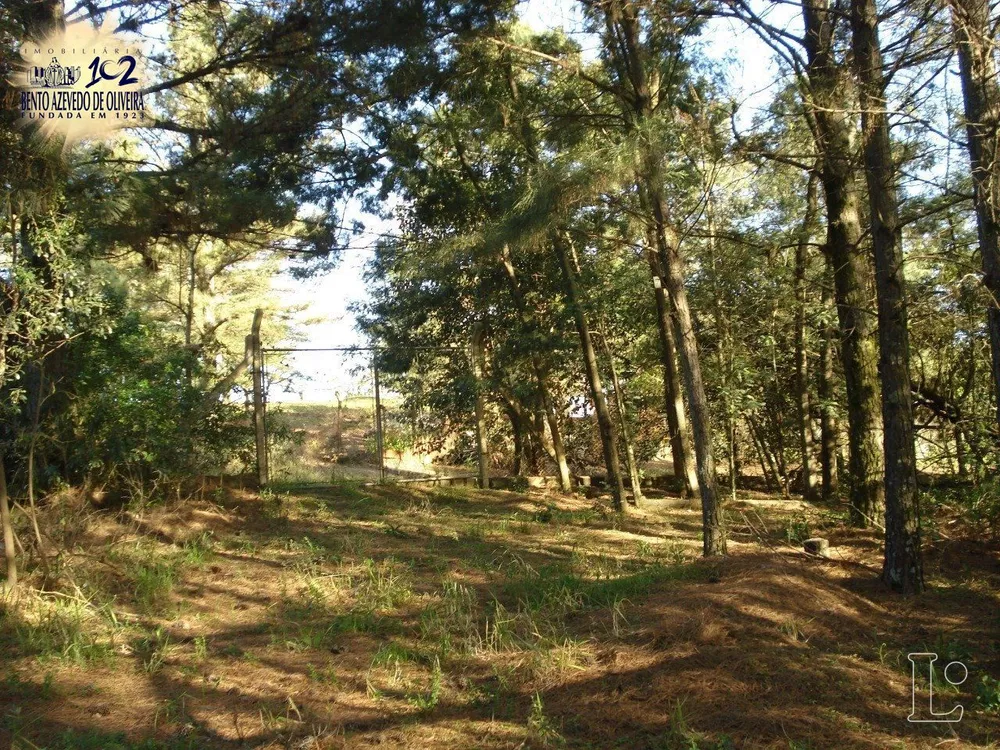 Terreno, 4500 m² - Foto 5