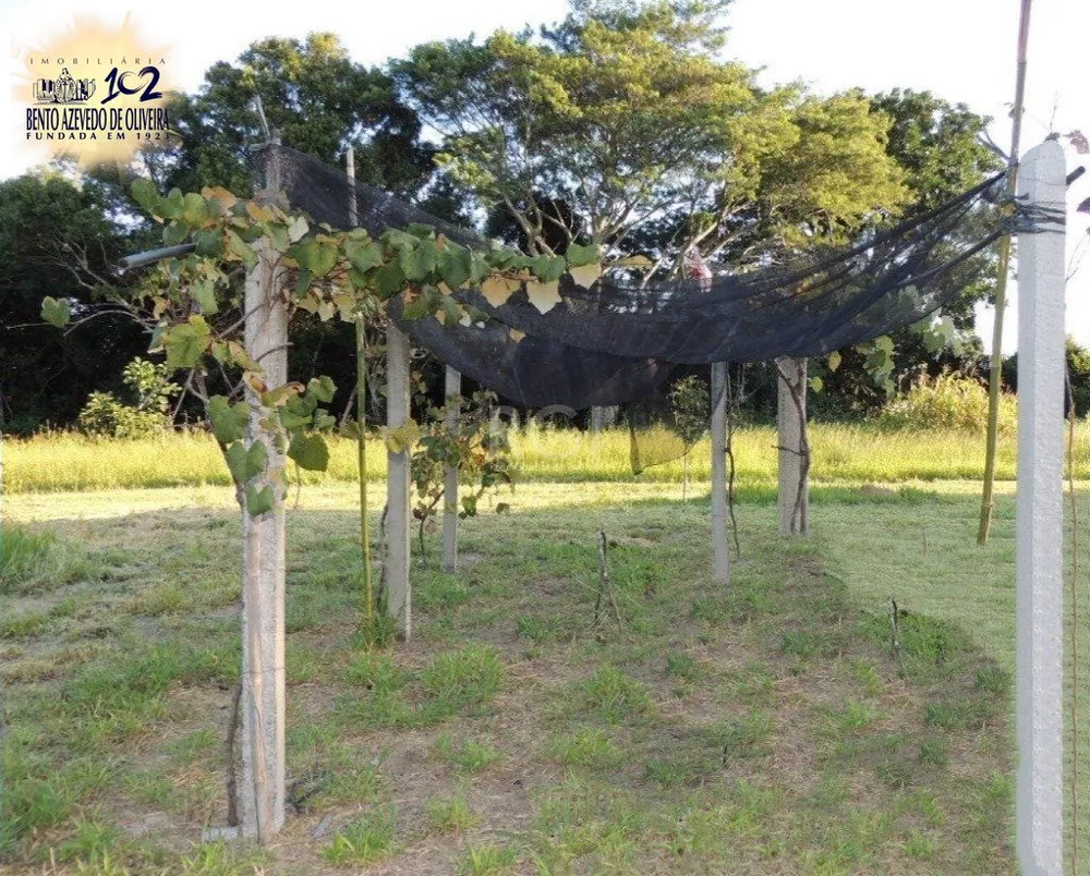 Chácara, 2 quartos, 2000 m² - Foto 3