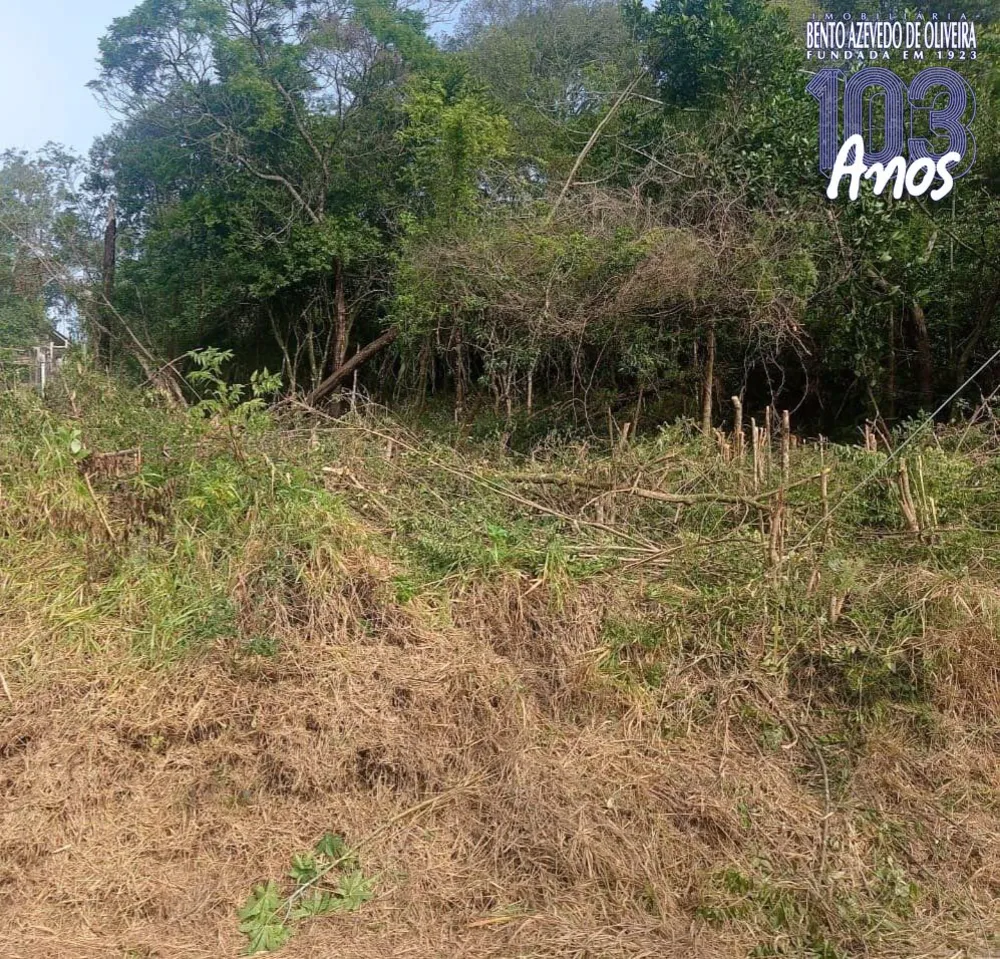 Terreno, 800 m² - Foto 6