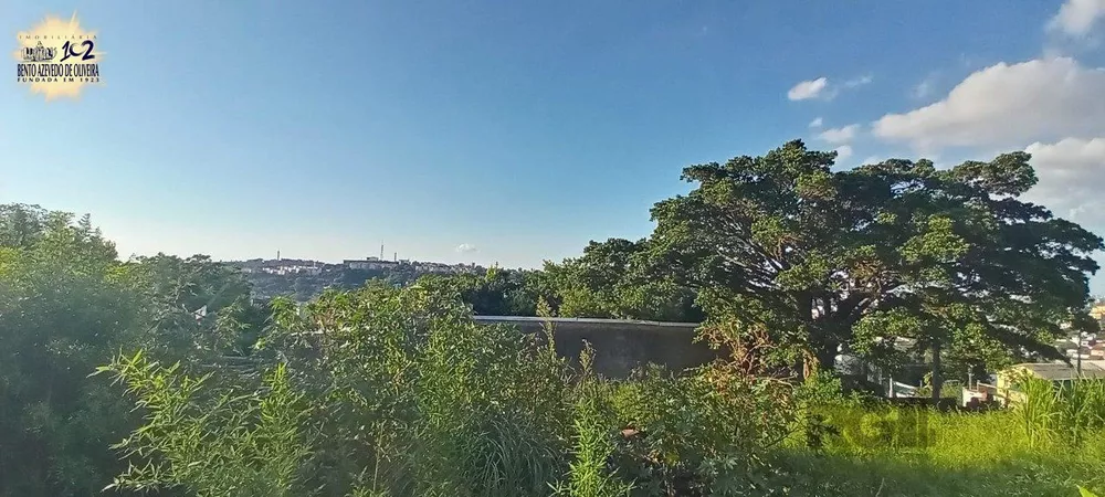 Terreno, 2468 m² - Foto 5