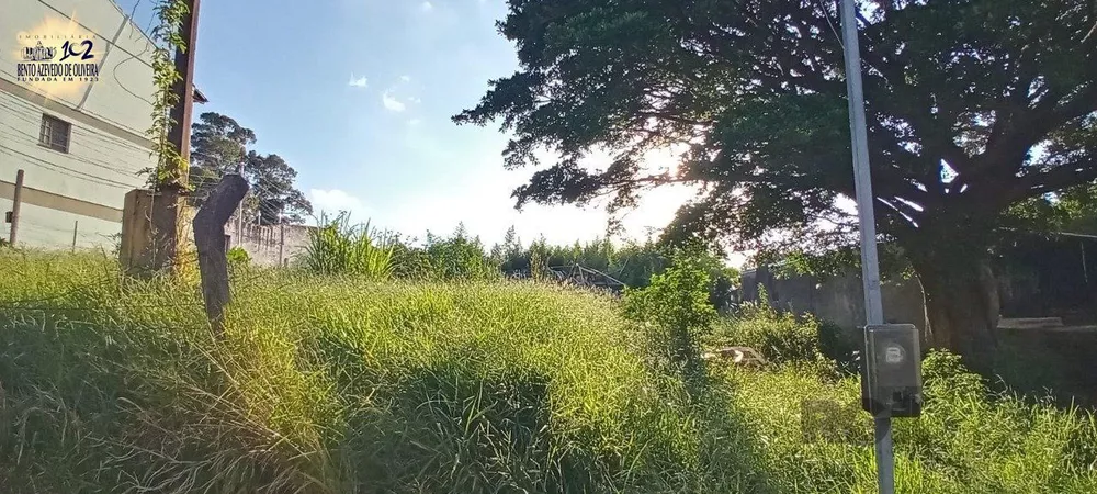 Terreno, 2468 m² - Foto 6