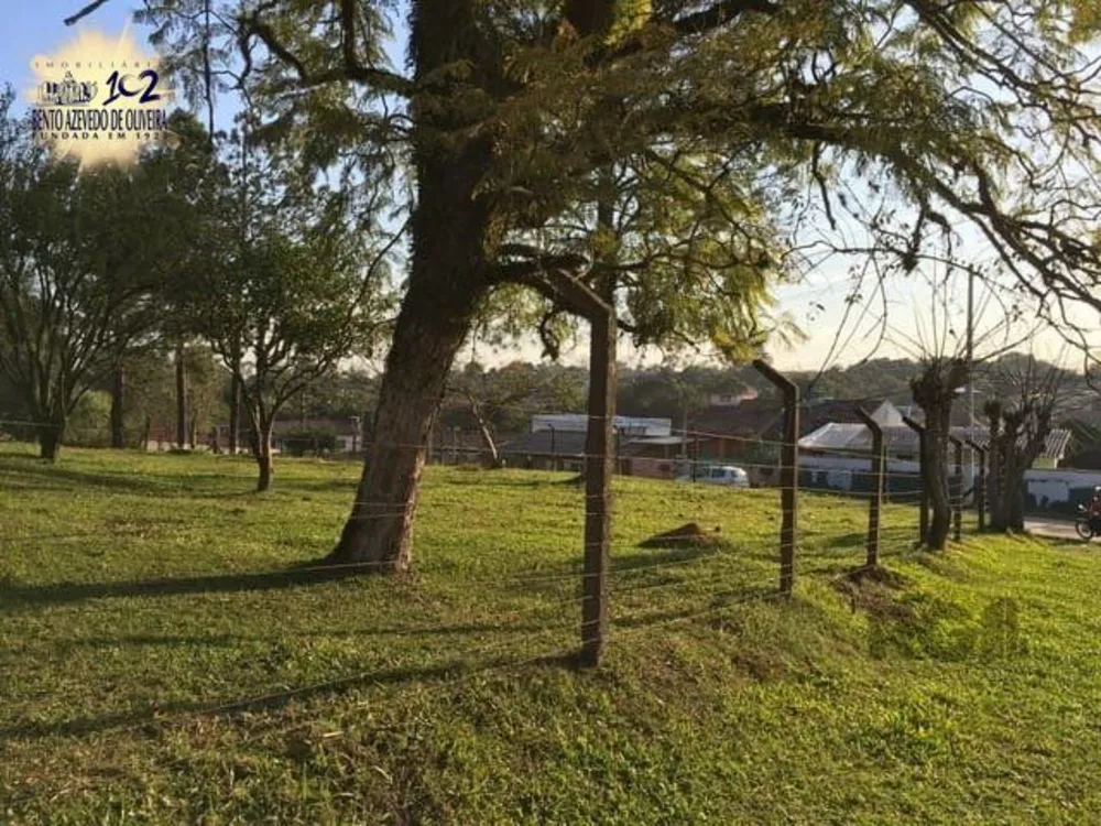 Terreno, 3467 m² - Foto 3