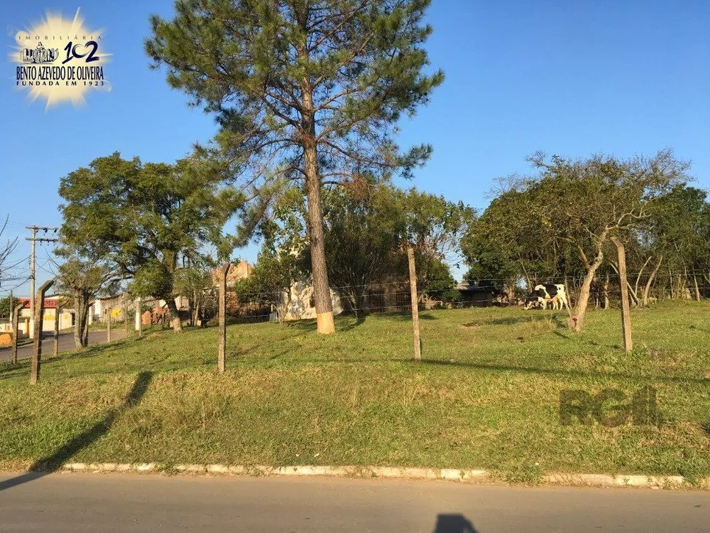 Terreno, 3467 m² - Foto 6