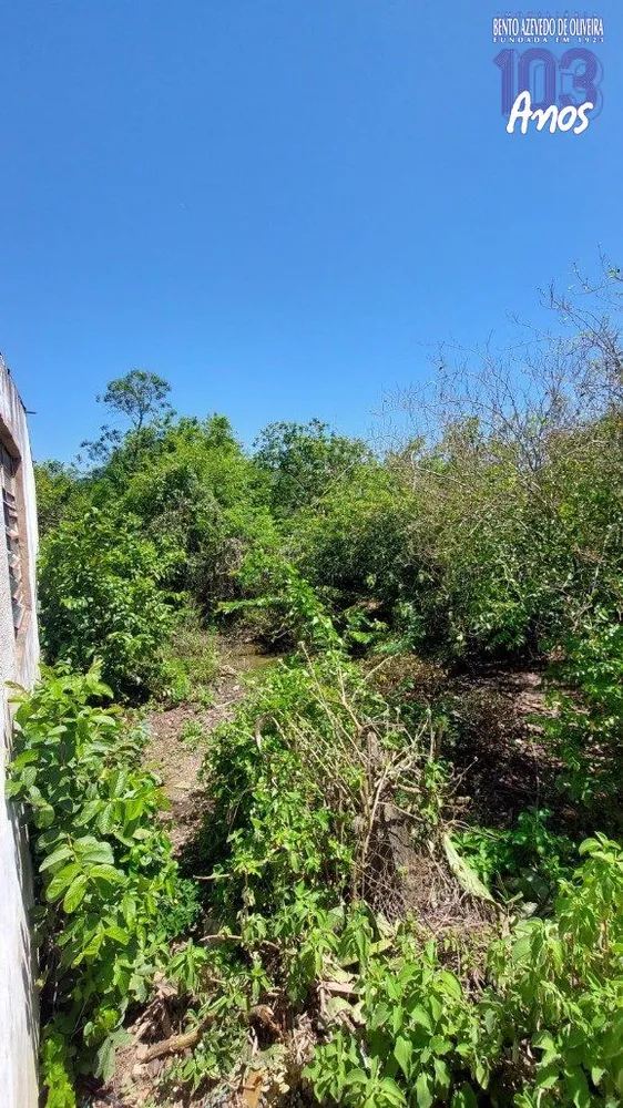 Casa, 2 quartos, 300 m² - Foto 6