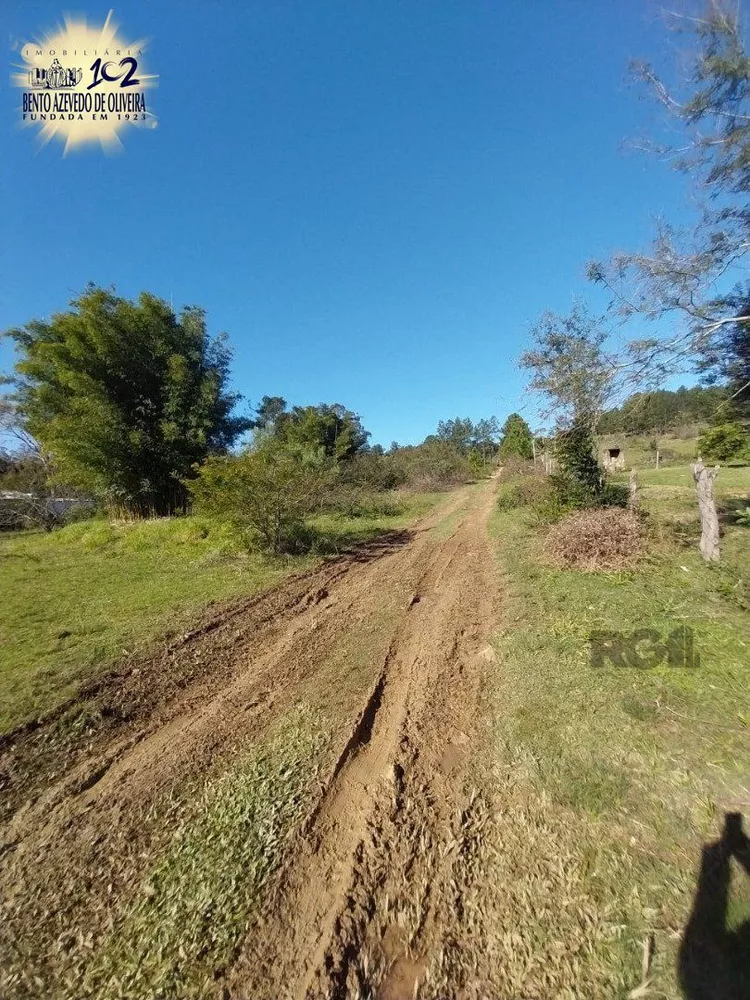 Terreno, 5000 m² - Foto 3