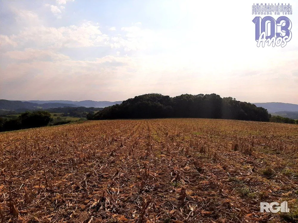 Terreno, 300 m² - Foto 1