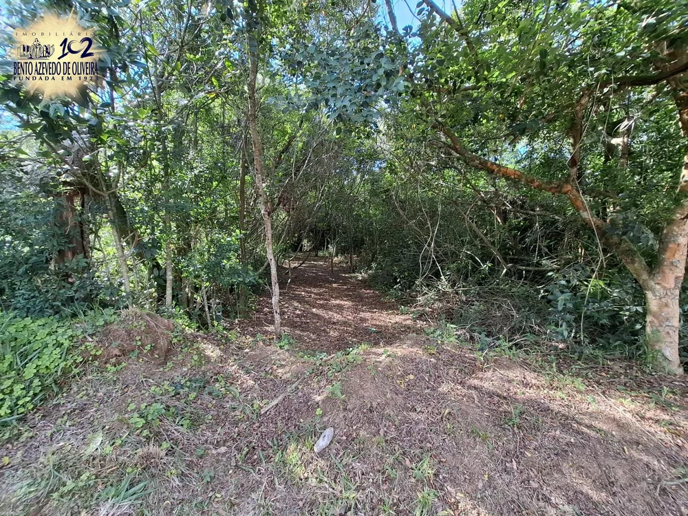 Terreno, 1091 m² - Foto 3