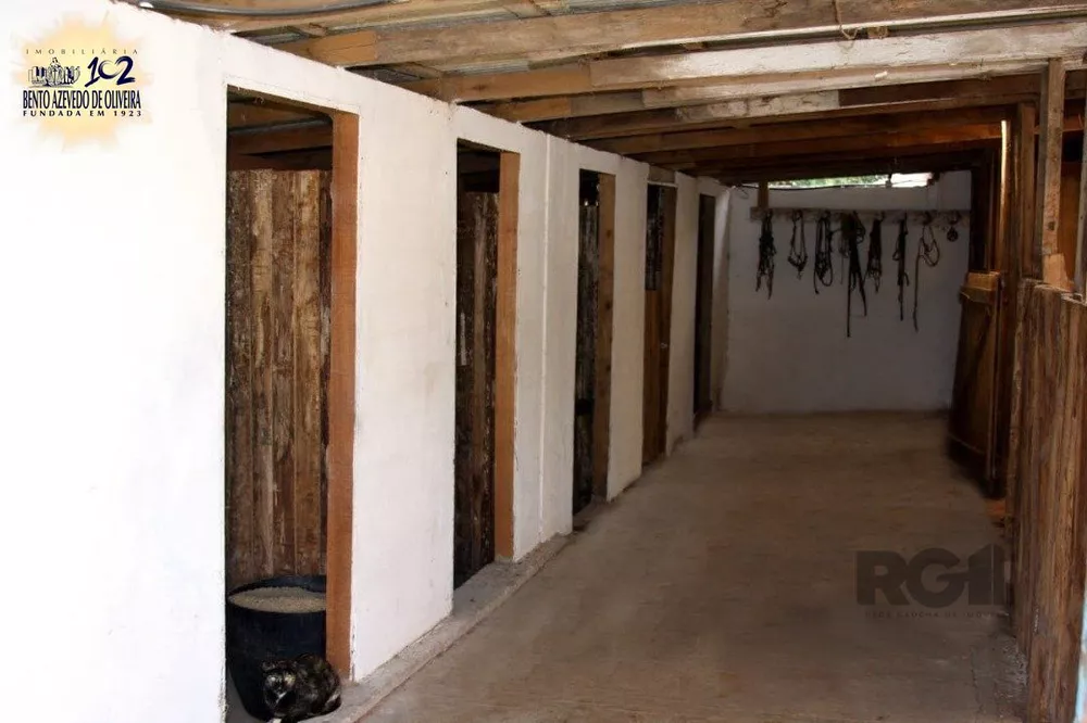 Chácara, 3 quartos, 6000 m² - Foto 4
