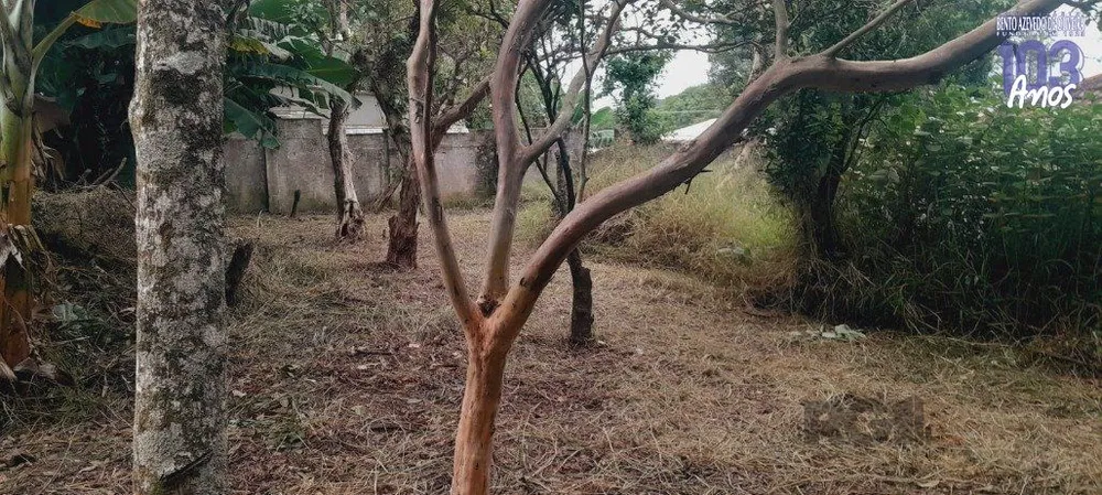 Depósito-Galpão, 195 m² - Foto 2