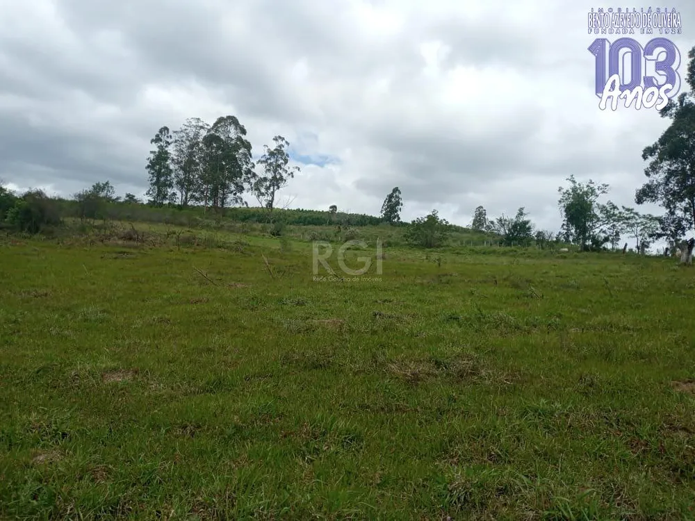 Sítio, 3 quartos, 12 hectares - Foto 3