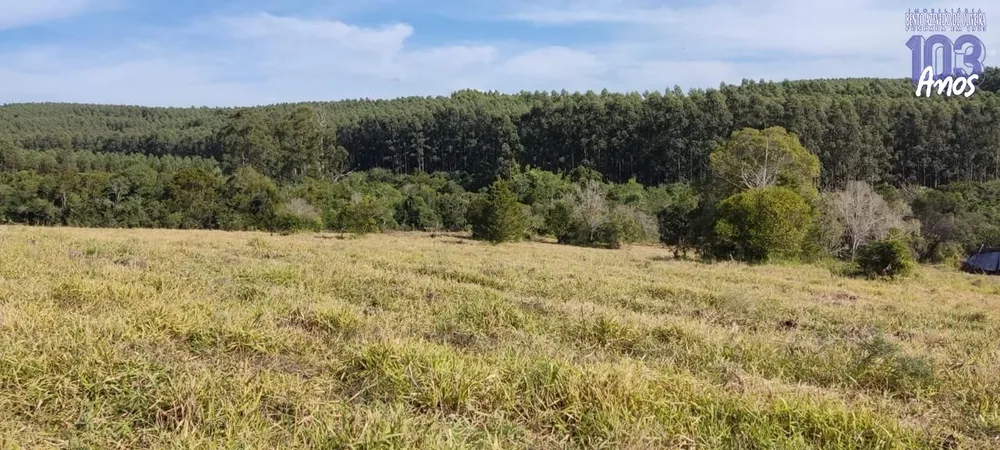 Sítio, 3 quartos, 12 hectares - Foto 6