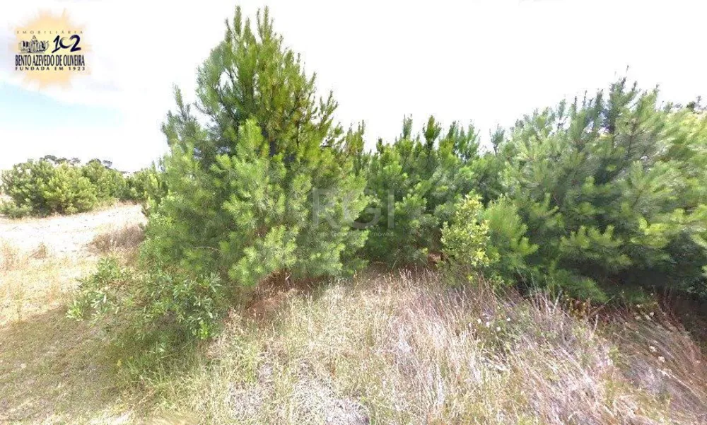 Terreno, 300 m² - Foto 1