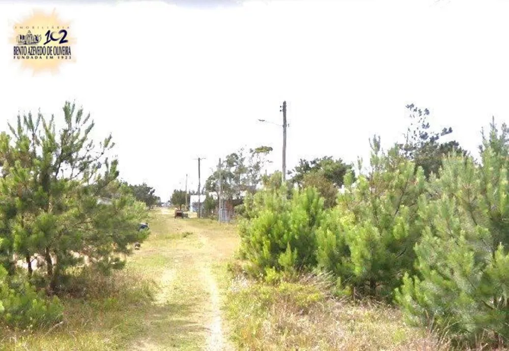 Terreno, 300 m² - Foto 5