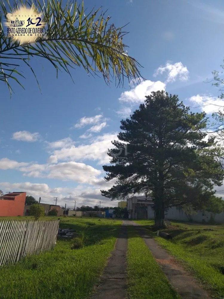 Terreno, 2 hectares - Foto 3