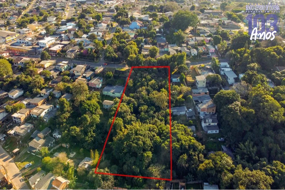 Terreno, 6250 m² - Foto 4