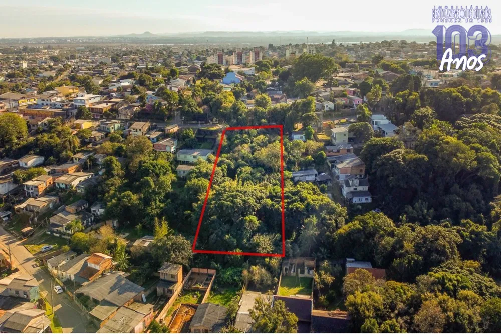 Terreno, 6250 m² - Foto 2