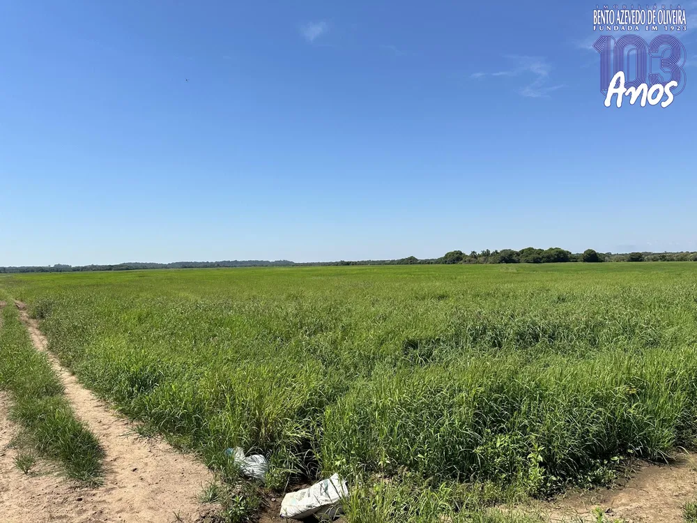 Fazenda, 433 hectares - Foto 4