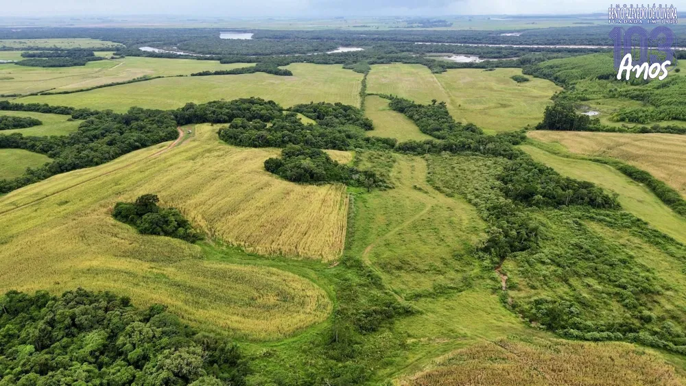 Fazenda, 433 hectares - Foto 3