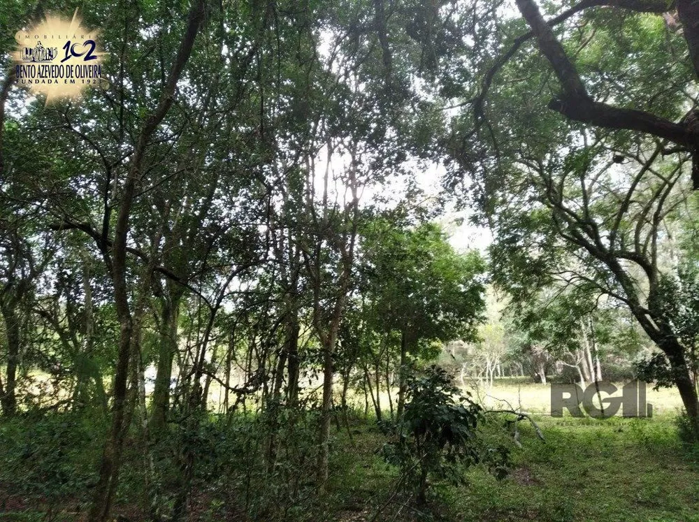 Terreno, 800 m² - Foto 3