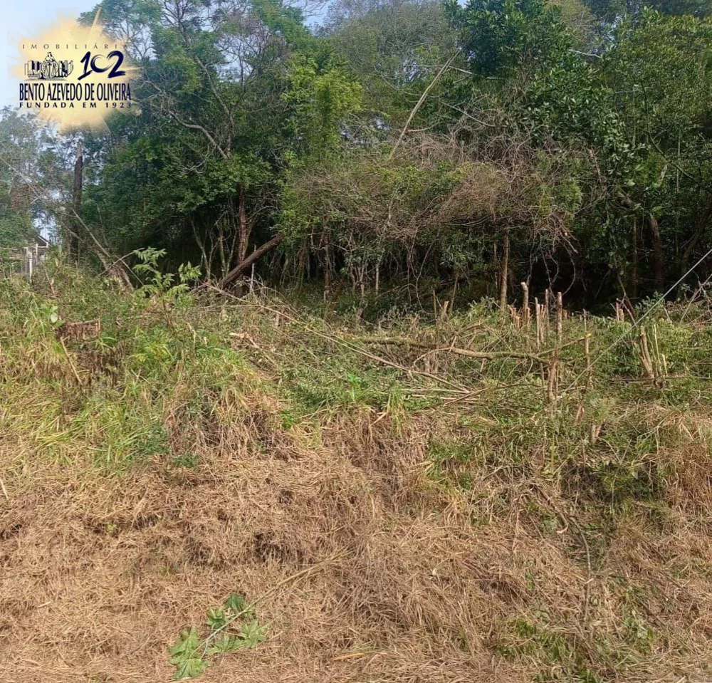 Terreno, 800 m² - Foto 5