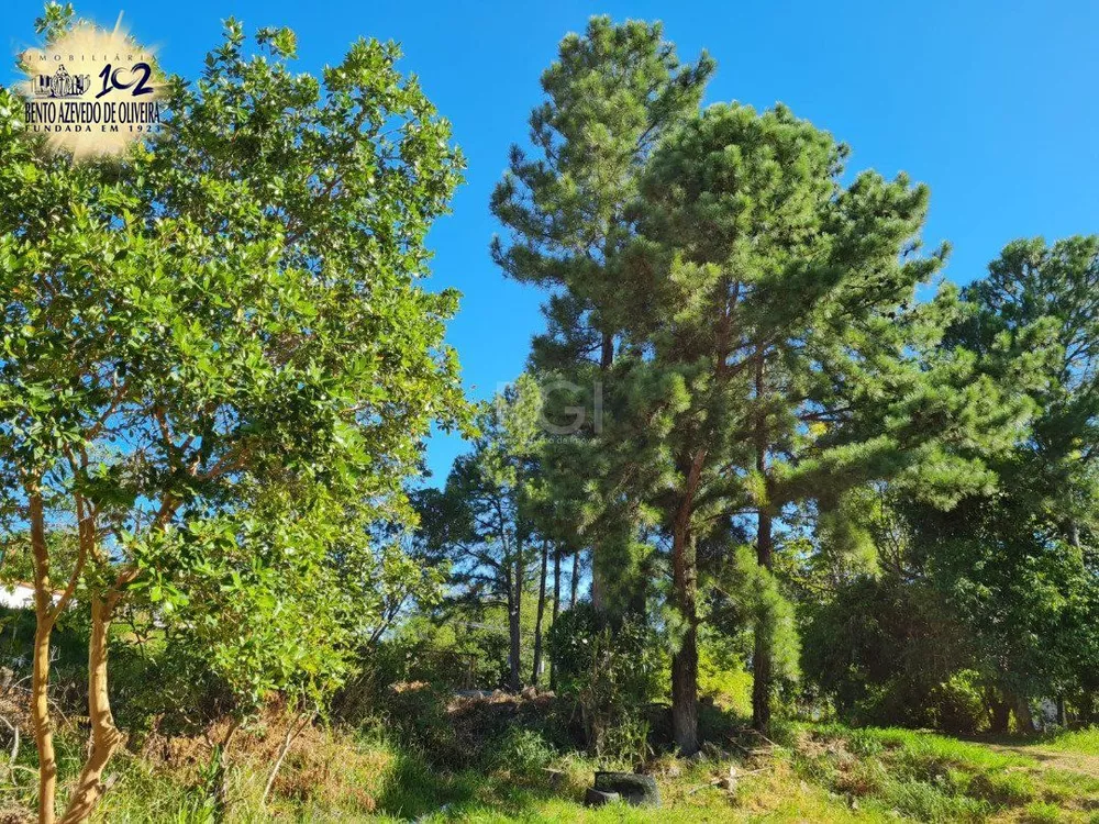 Terreno, 3 hectares - Foto 8