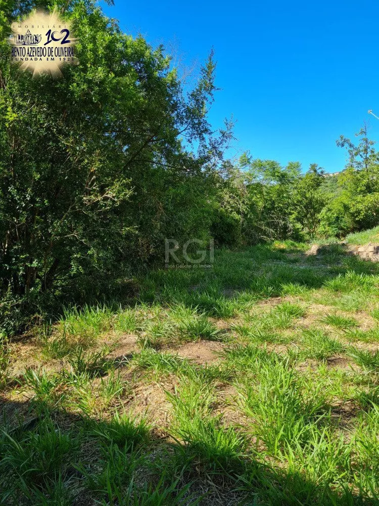 Terreno, 3 hectares - Foto 6