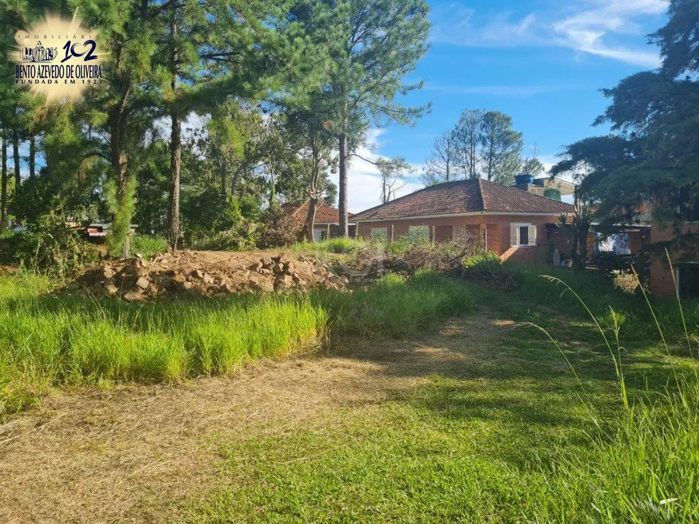 Terreno, 3 hectares - Foto 2
