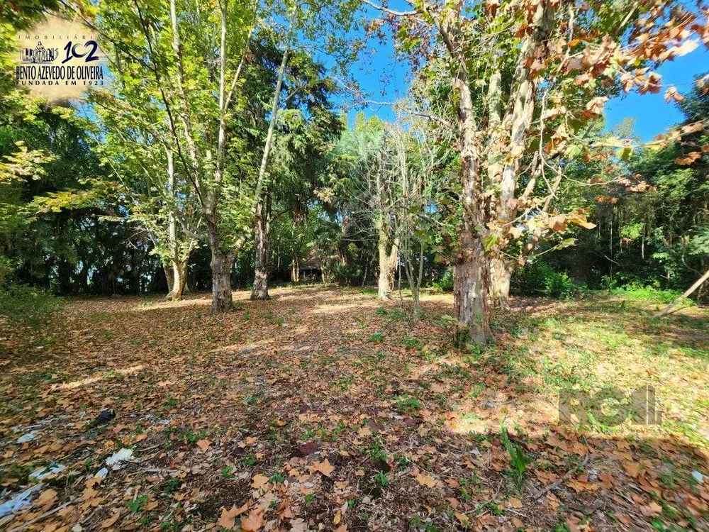 Terreno, 5322 m² - Foto 4