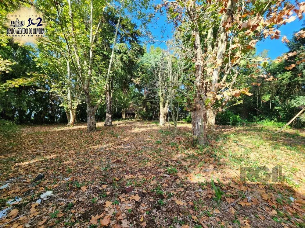 Terreno, 5322 m² - Foto 5