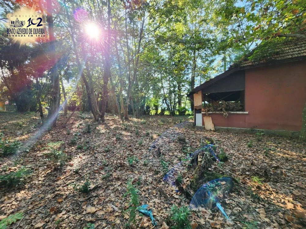 Terreno, 5322 m² - Foto 7