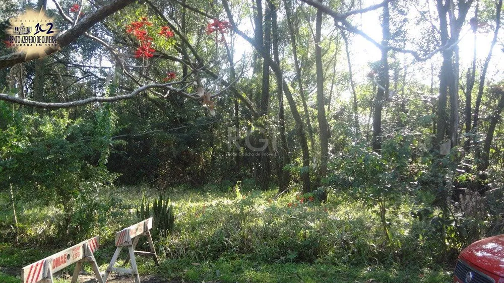 Terreno, 5600 m² - Foto 4