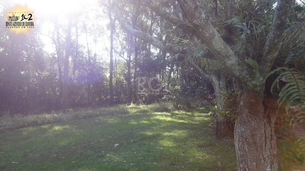 Terreno, 5600 m² - Foto 1