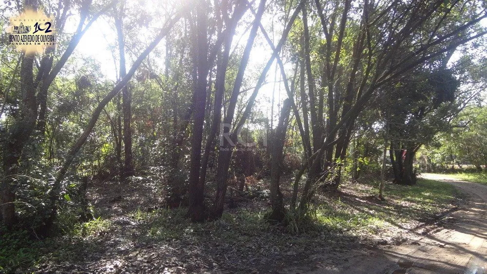 Terreno, 5600 m² - Foto 5