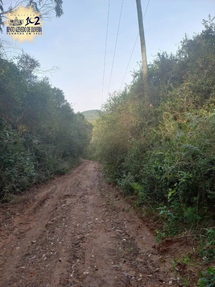Terreno - Foto 1