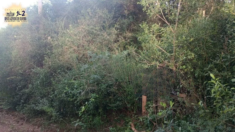 Terreno - Foto 4