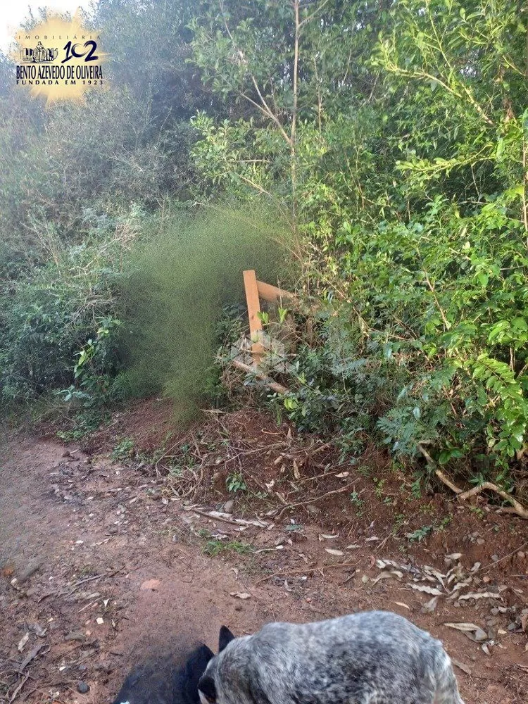 Terreno - Foto 2