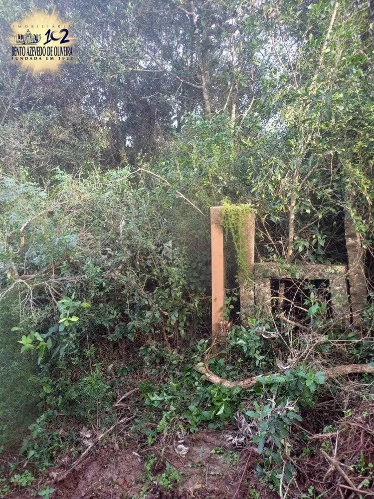 Terreno - Foto 7