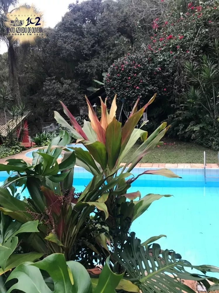 Chácara, 3 quartos, 4500 m² - Foto 7
