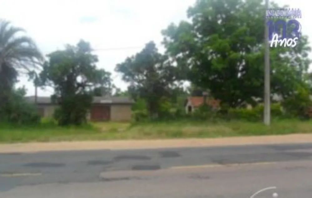 Terreno, 5 hectares - Foto 2