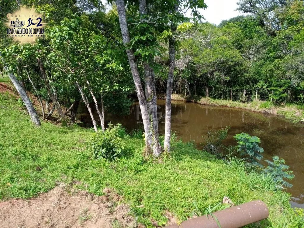 Sítio, 14 quartos, 4 hectares - Foto 4