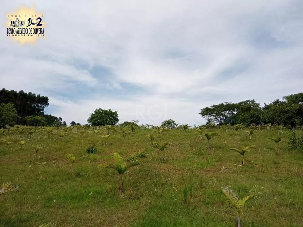 Sítio, 14 quartos, 4 hectares - Foto 3