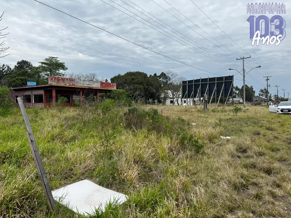Terreno, 10000 m² - Foto 1
